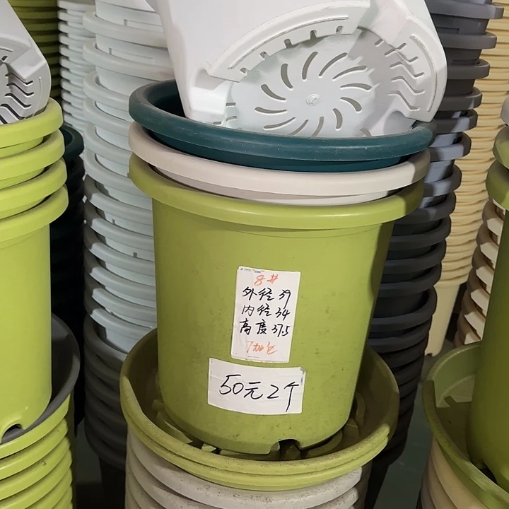 微瑕8#口径39无托果绿3个