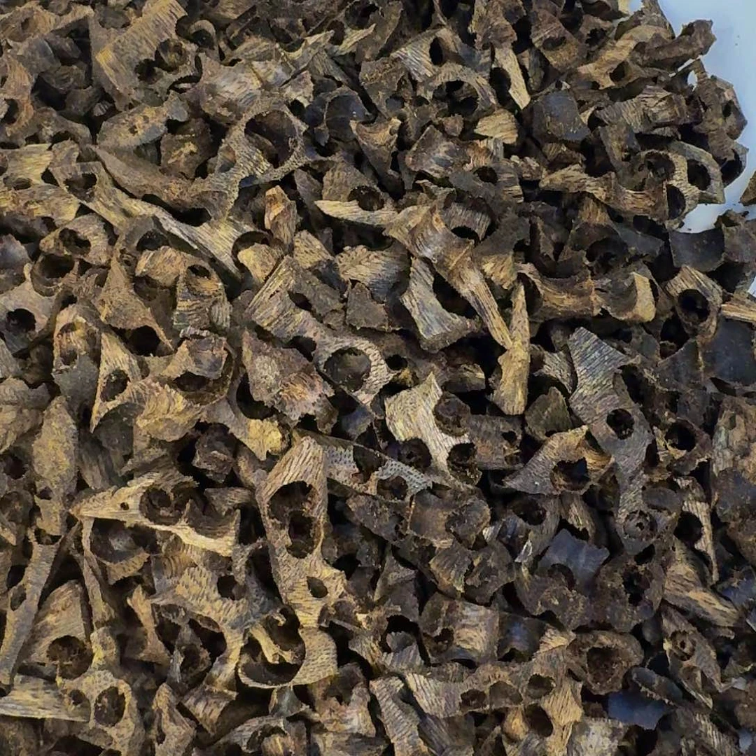 沉香碎屑沉香木奇楠蓝香品种高油车珠料50克克