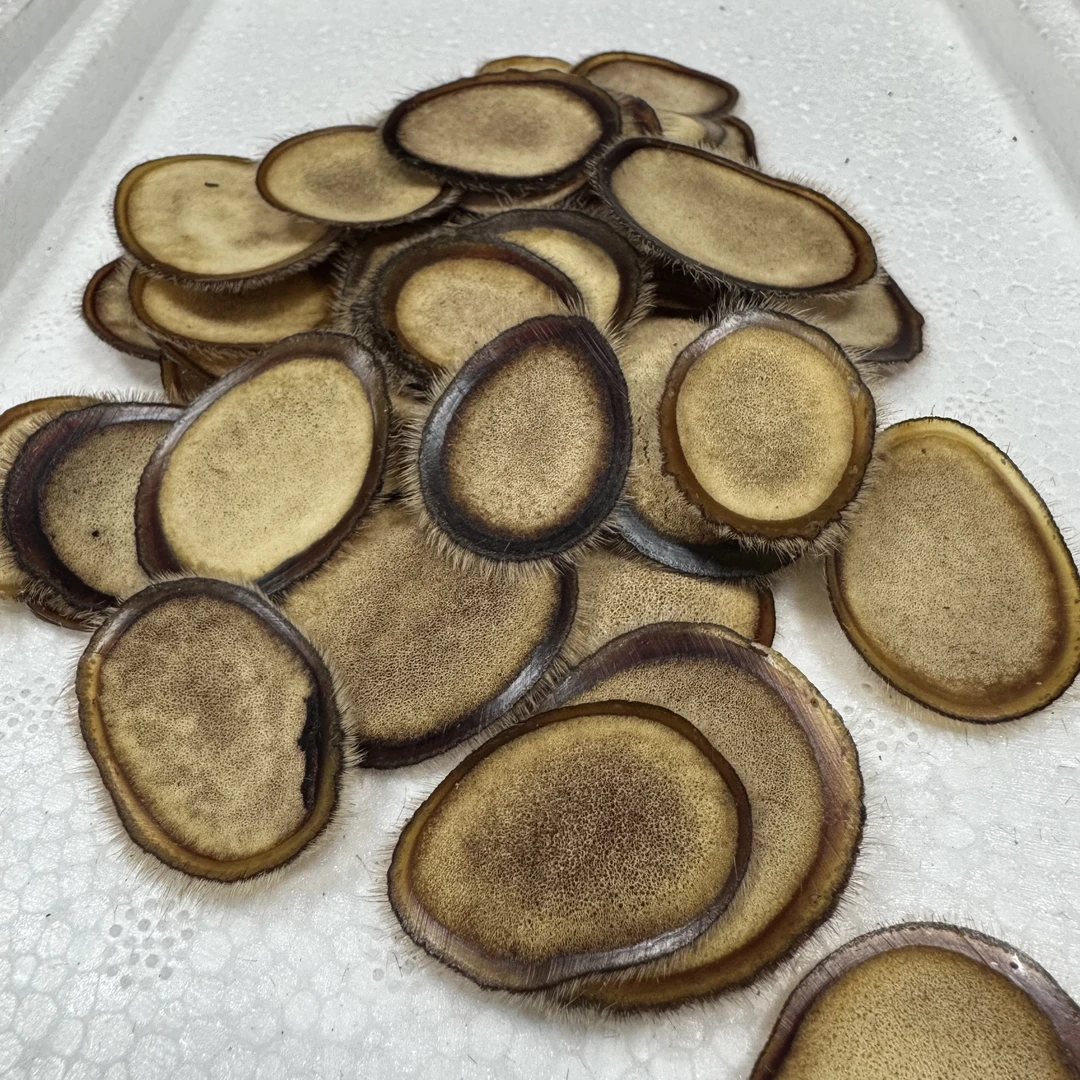 梅花鹿特粉片，可打粉泡水煲汤泡酒，男士滋补好物