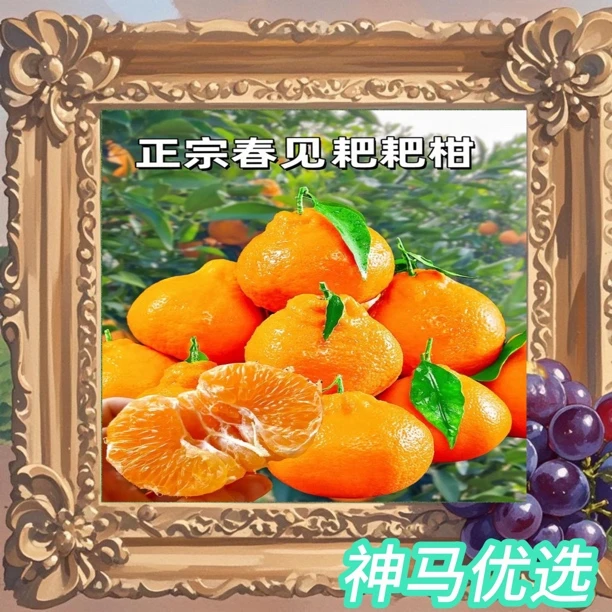 四川春见耙耙柑三斤“口感超好”