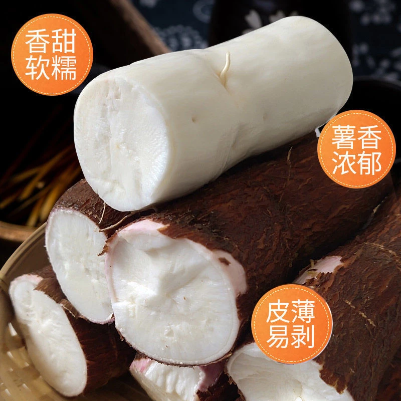 广西特产面包木薯新鲜现挖红皮白肉木薯粗粮薯粉香番薯