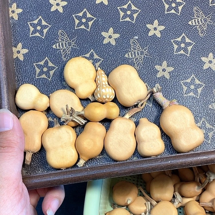 【闪购商品】S****,葫芦葫芦葫芦葫芦葫芦葫芦