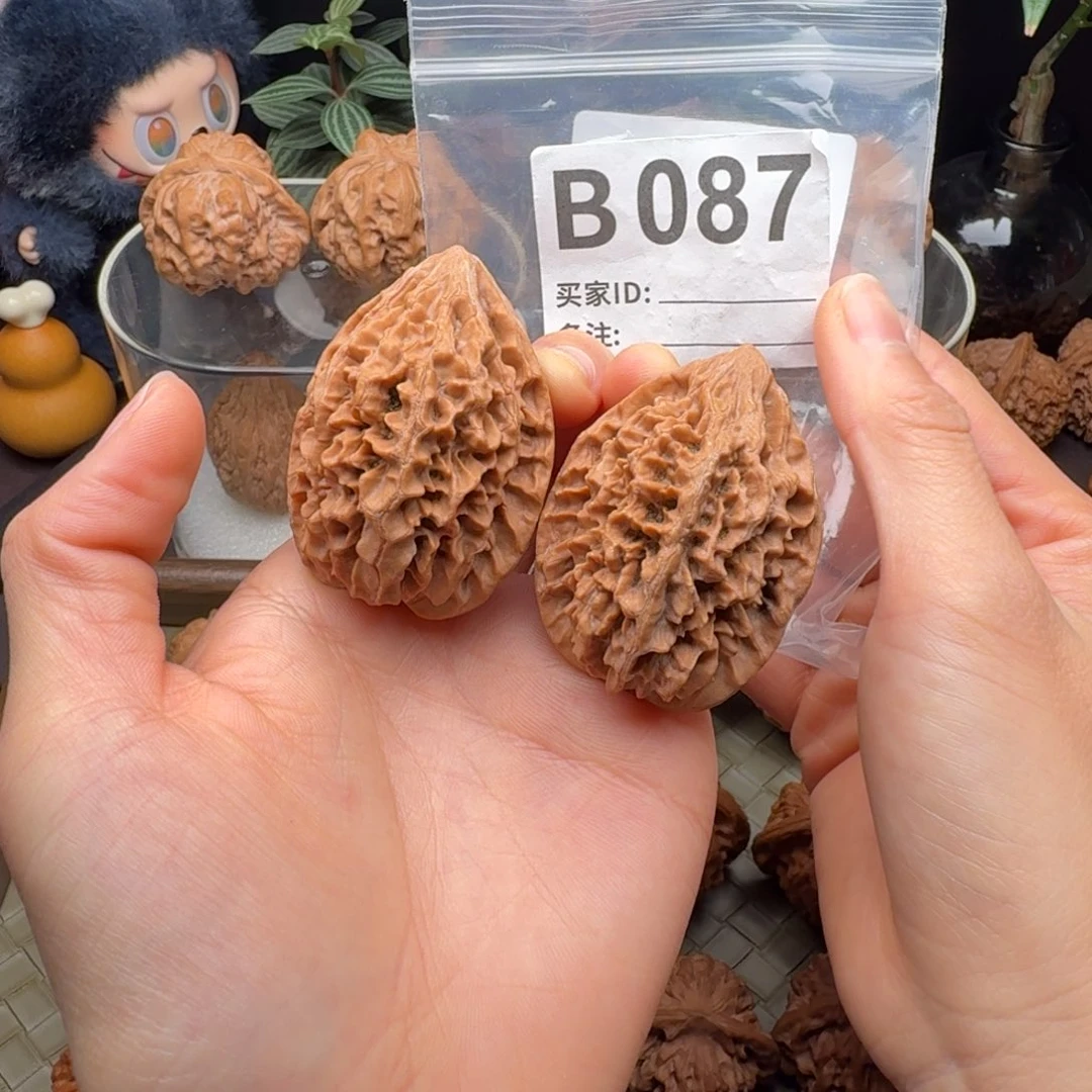 把件龙脊菩提全品招财鼠37+