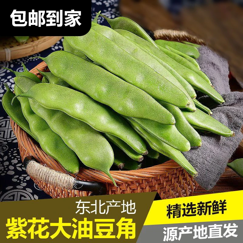 东北新开园紫花油豆角开锅烂自产自销包邮到家