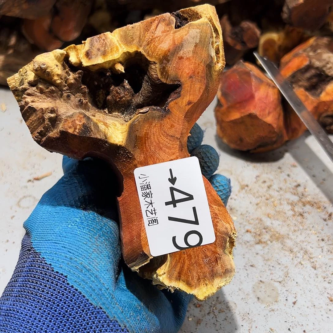 香榧木星**怀火琉璃……火琉璃