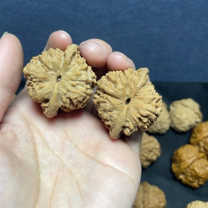 ****核桃原装官帽4.1全品无修