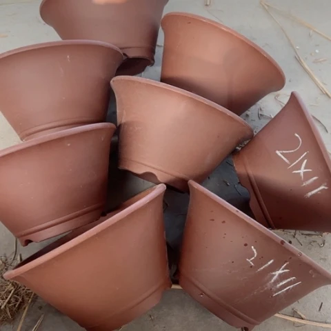 紫砂花盆100-8。21-11