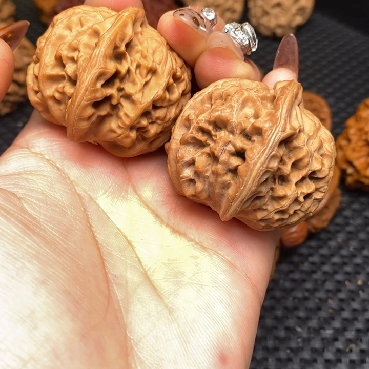 秦岭野生000000031