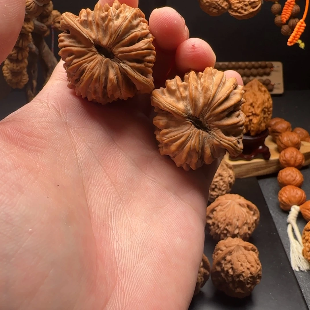 核桃四座楼全品无修