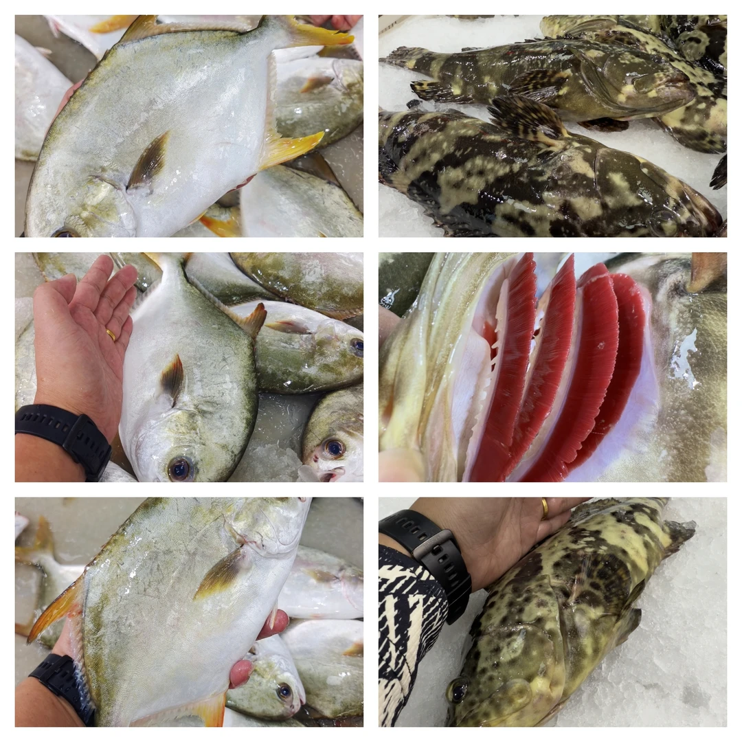 【马鲛仔海产】海鲜套餐 4条金鲳+2条石斑 顺丰包邮博贺港