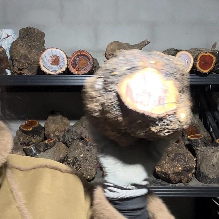 杨***云香榧木火琉璃的故事是一个