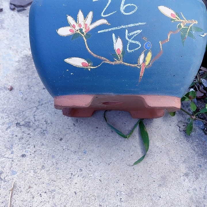 紫砂花盆宜兴紫砂厂