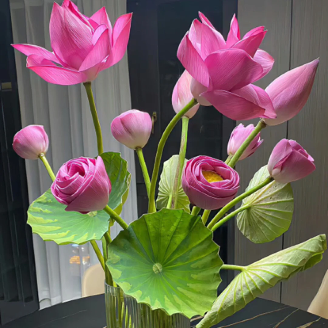 繁花拾里-室内水培干花神奇 荷花