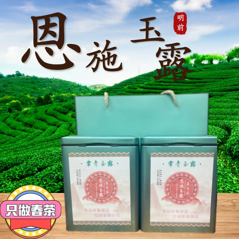 恩施玉露精品优选精选玉露3号