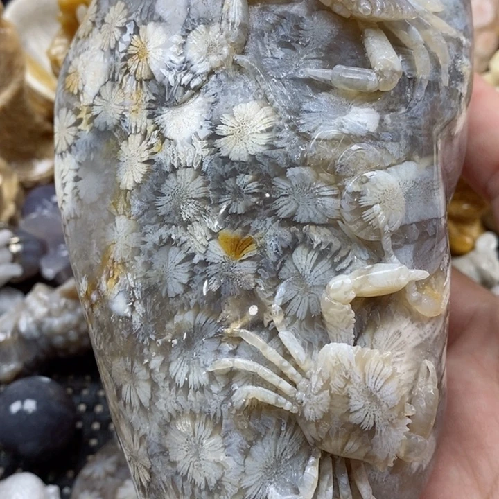 颈饰未镶嵌硅化珊瑚（珊瑚玉）