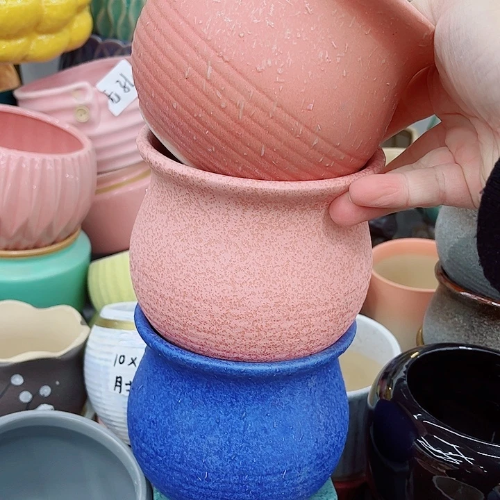 多肉植物陶瓷花盆