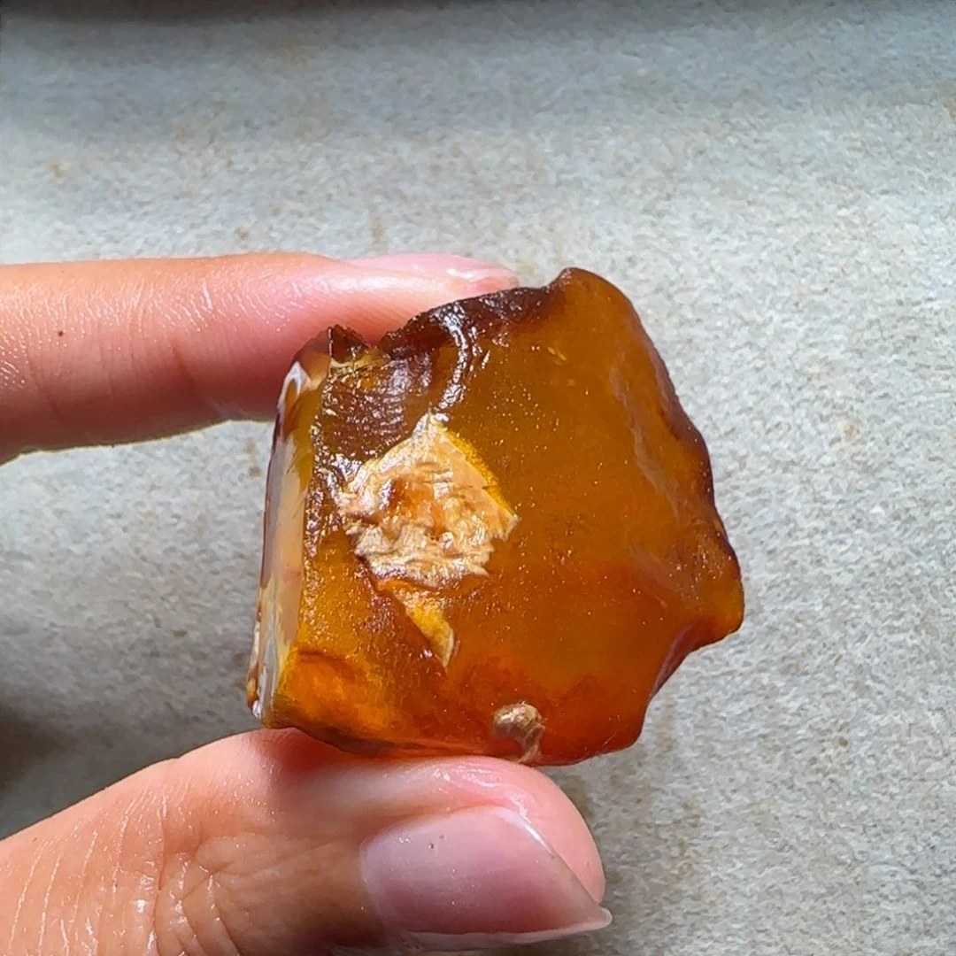 未镶嵌定制琥珀下****鱼专拍