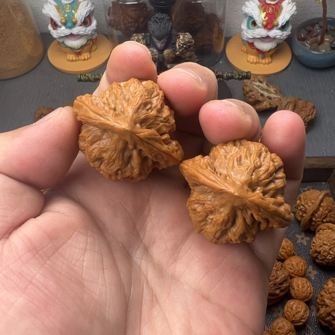 41蓟县金公子全品