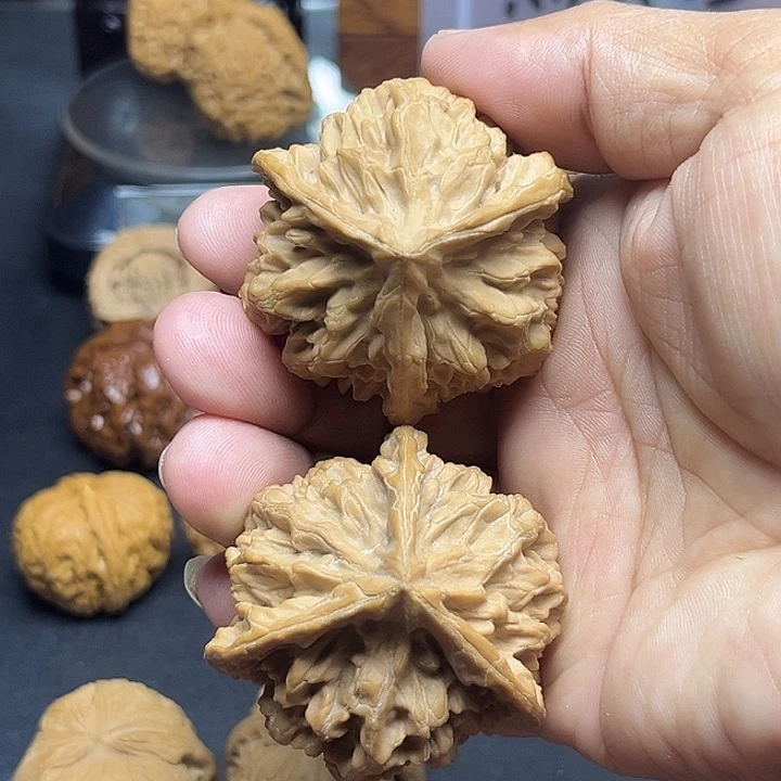 文玩核桃把件帝王大三棱