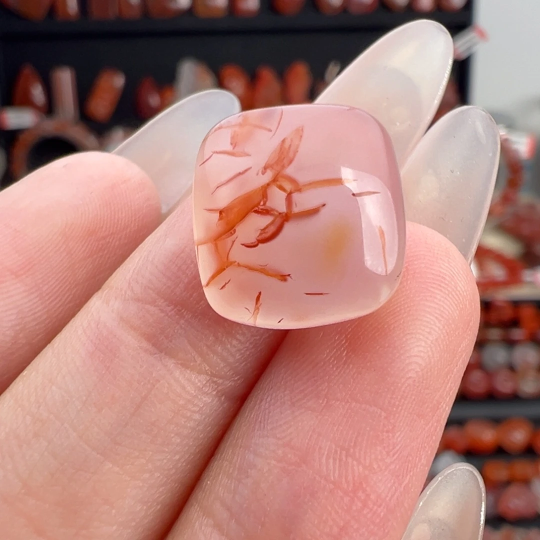 南红玛瑙未镶嵌颈饰水草花蛋面