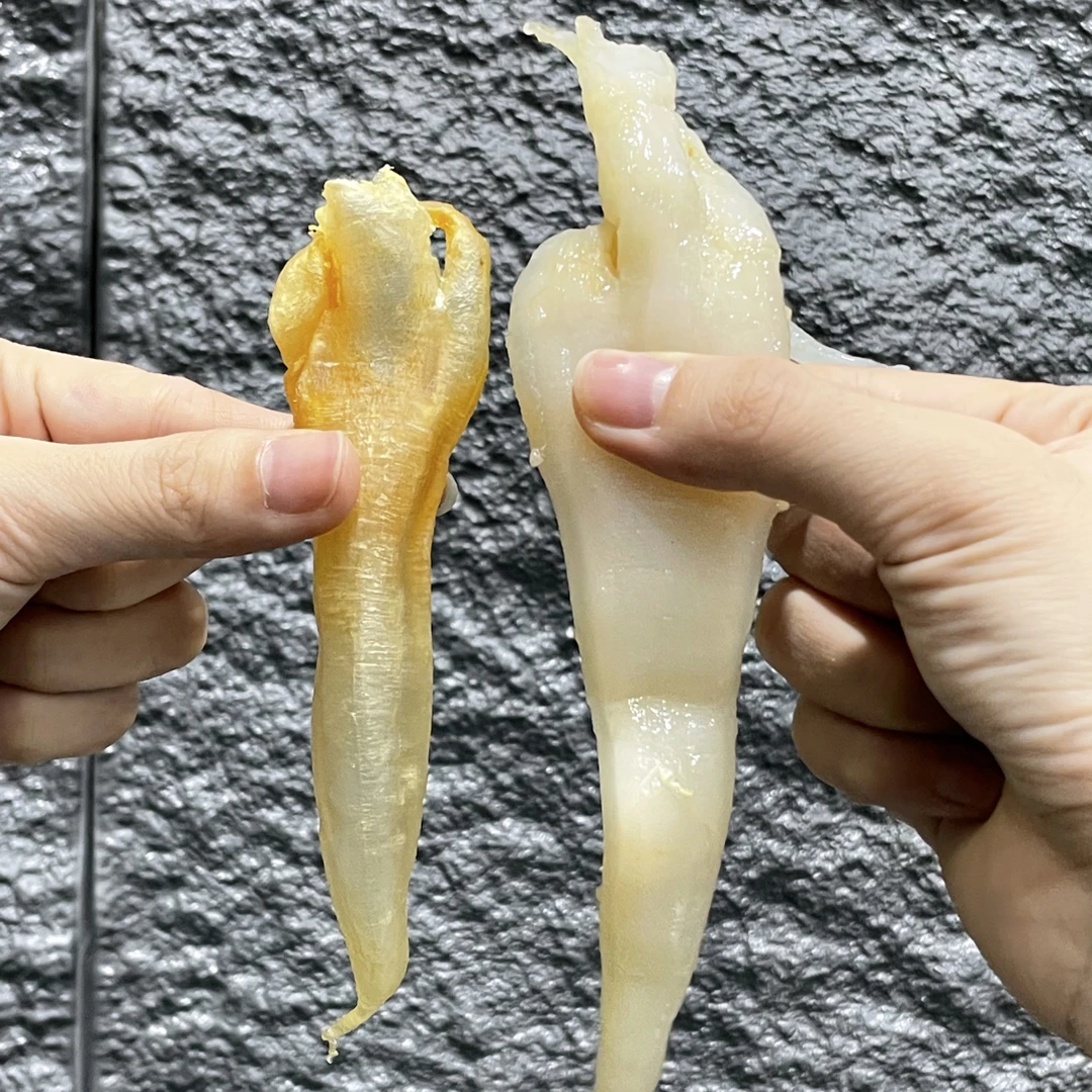 【飞飞精选】60头北海公筒