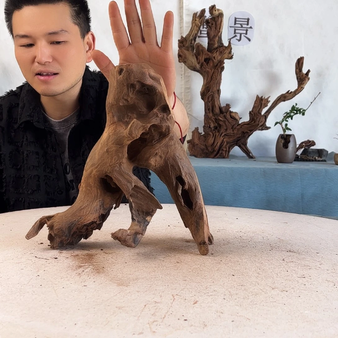 周末福利沉木造景