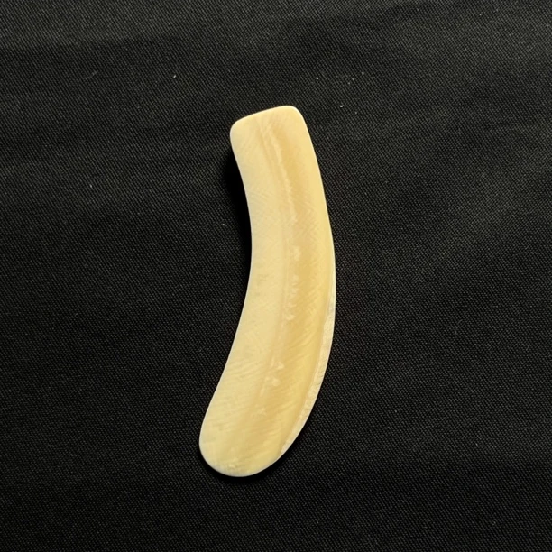 H8501 牙尖 只做天然猛犸牙