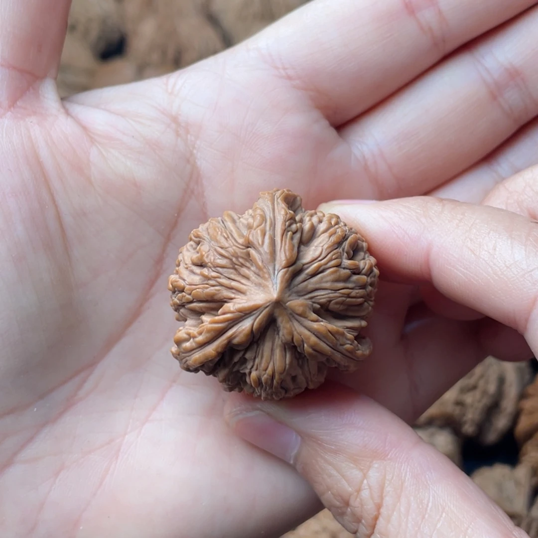 文玩核桃把件35虎头三棱