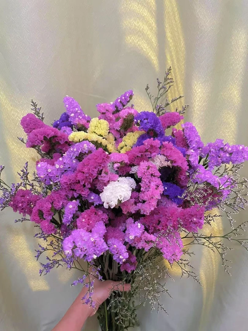 云南直发勿忘我干花花束鲜花真花客厅装饰插花礼物满天星婚庆
