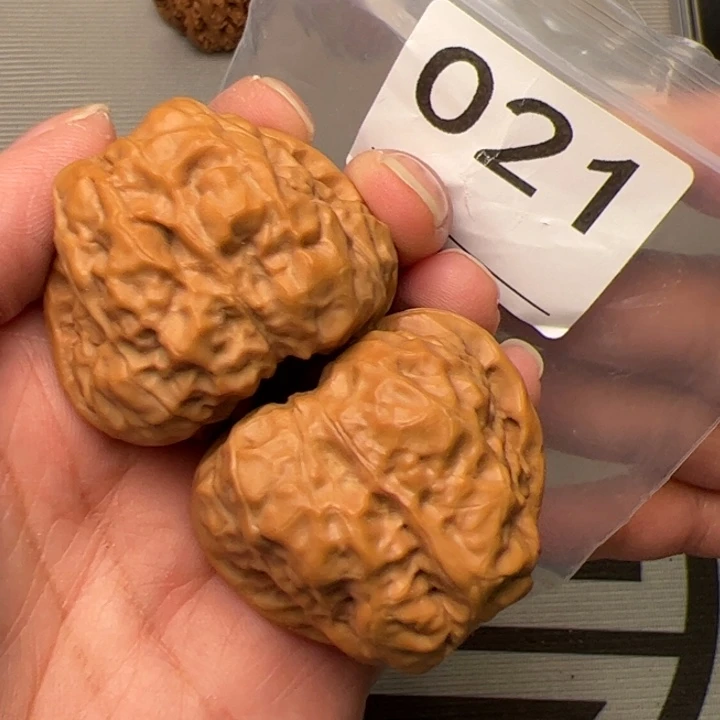 核桃三角蛙饼边42肚44尺021号