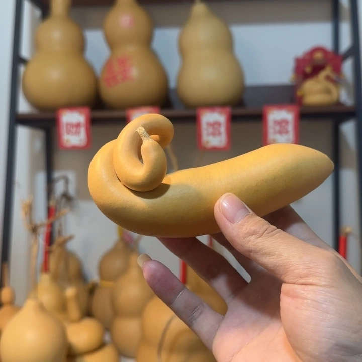 天鹅葫芦天鹅葫芦