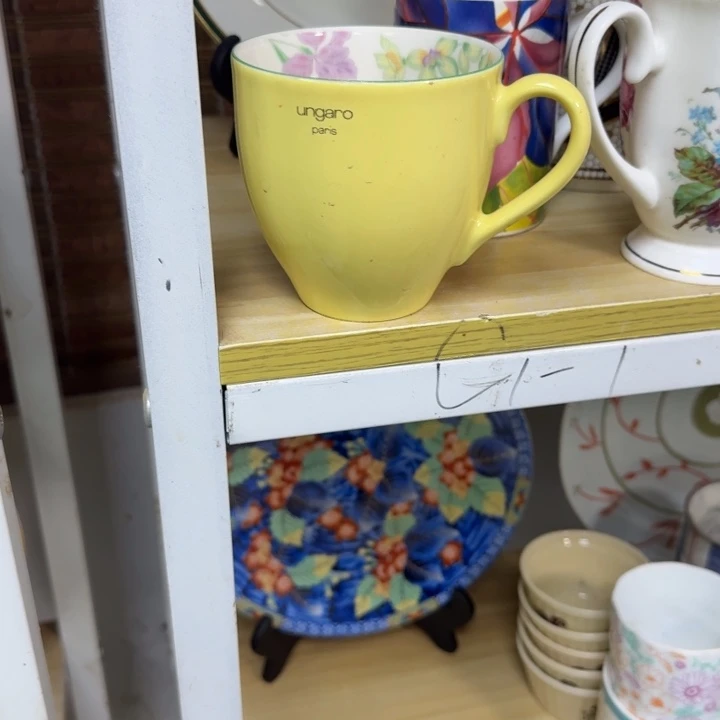 瓷片小****猫开播啦…开播啦！