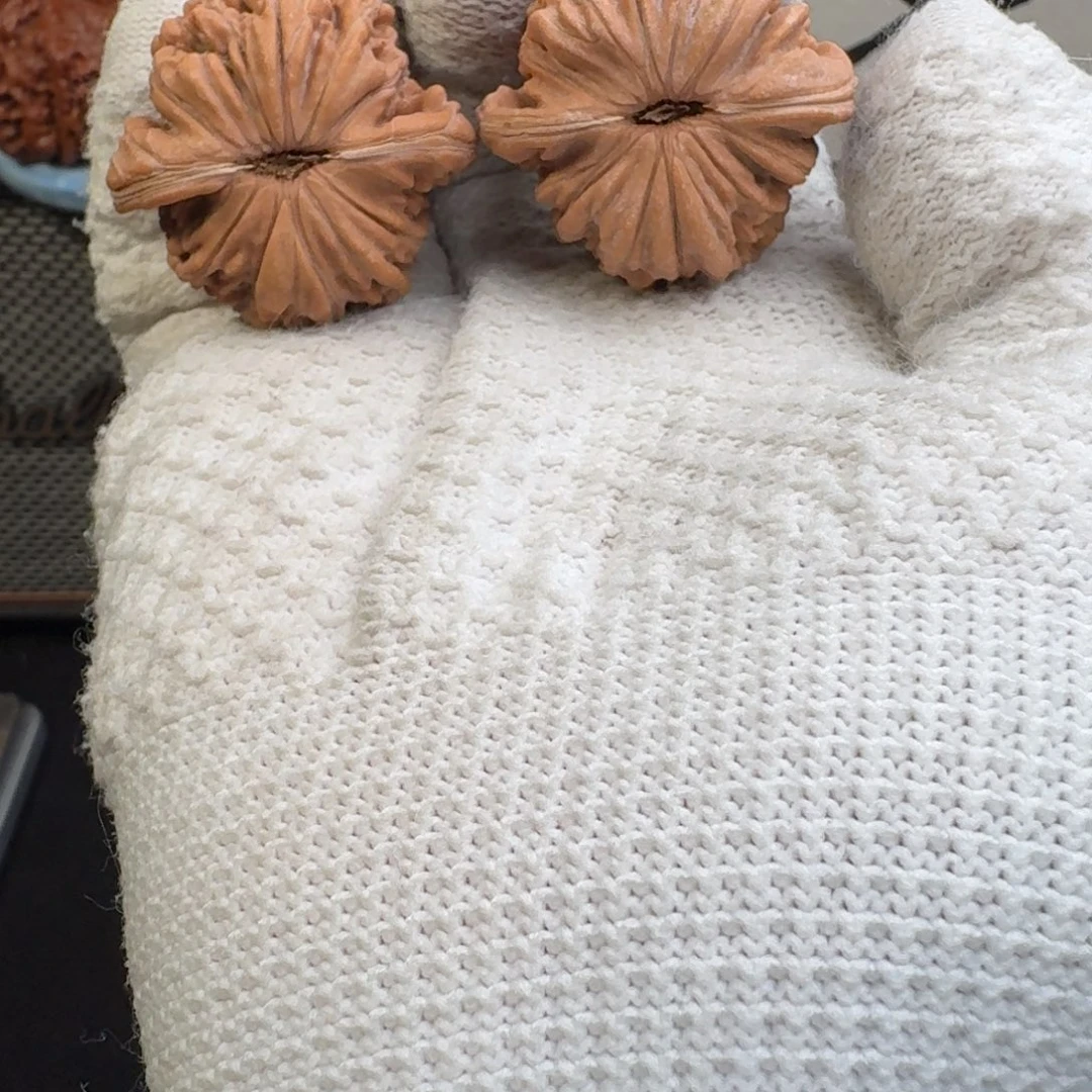 文玩核桃吊坠3802楼子