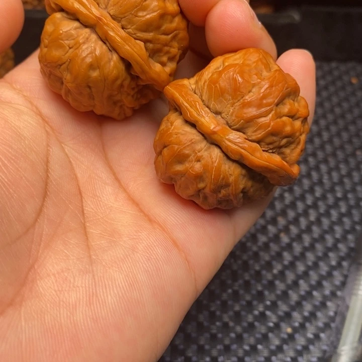 秦岭野生11111111111