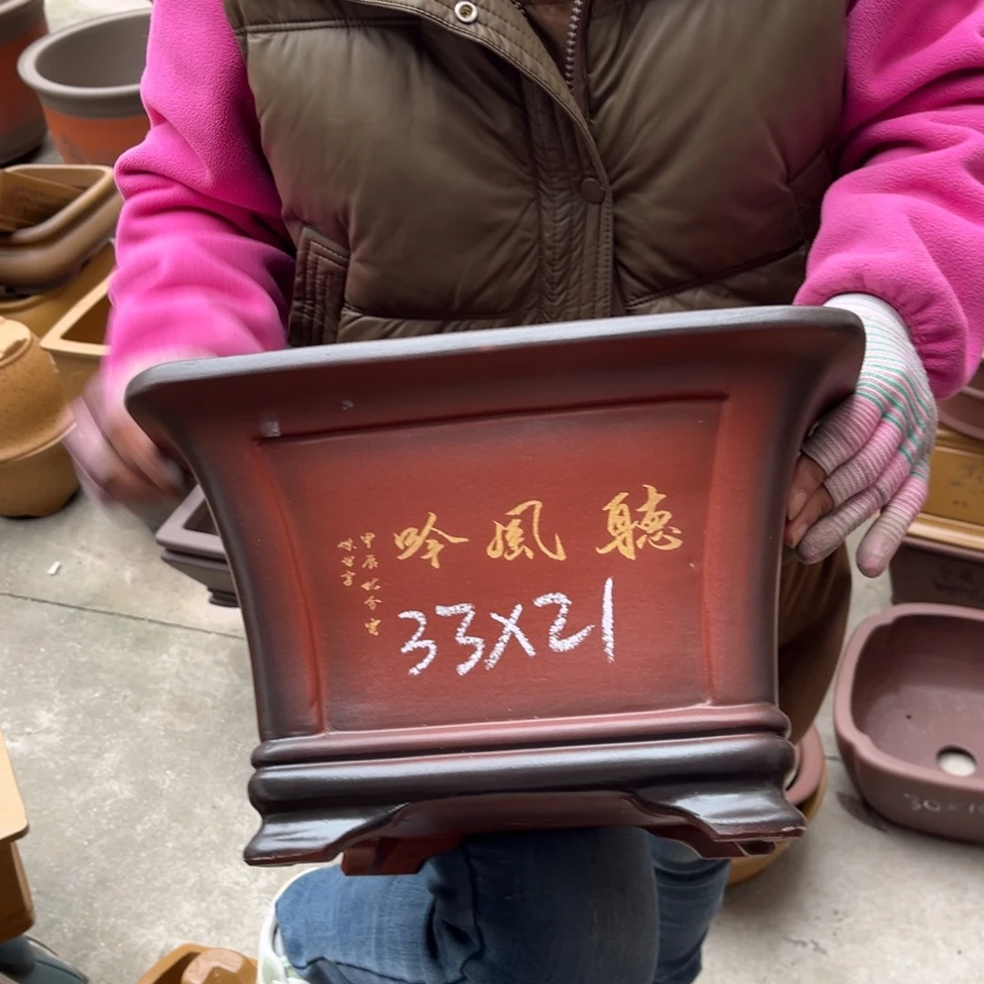 紫砂花盆盆景艺术