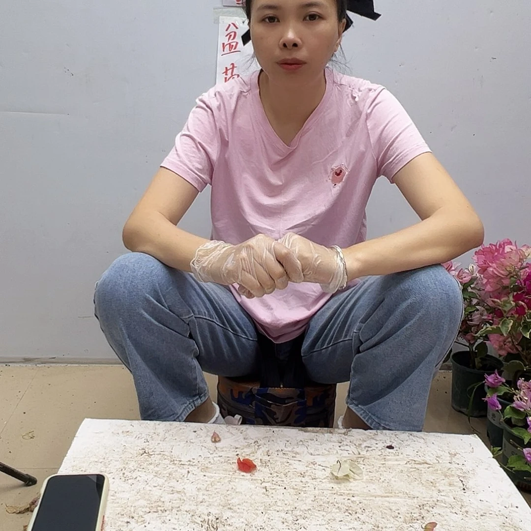 大部分花苞少量开放三角梅一颗