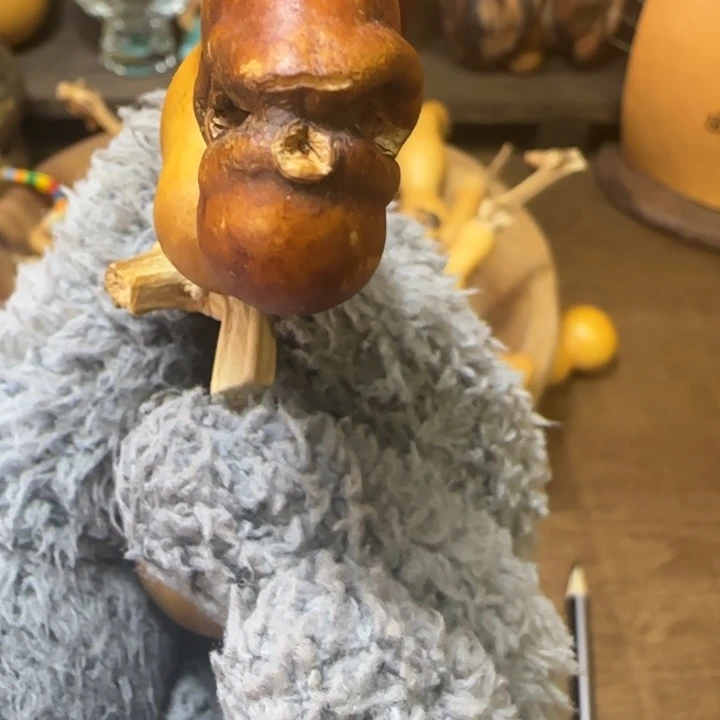 遇*猫厚皮异形花皮天然葫芦葫芦葫芦