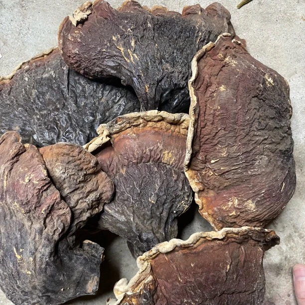 山货松杉、白肉、灵支【幺妹优选】