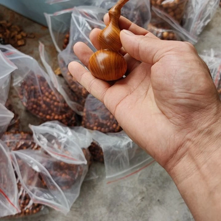 大***玩葫芦一个，太行崖柏