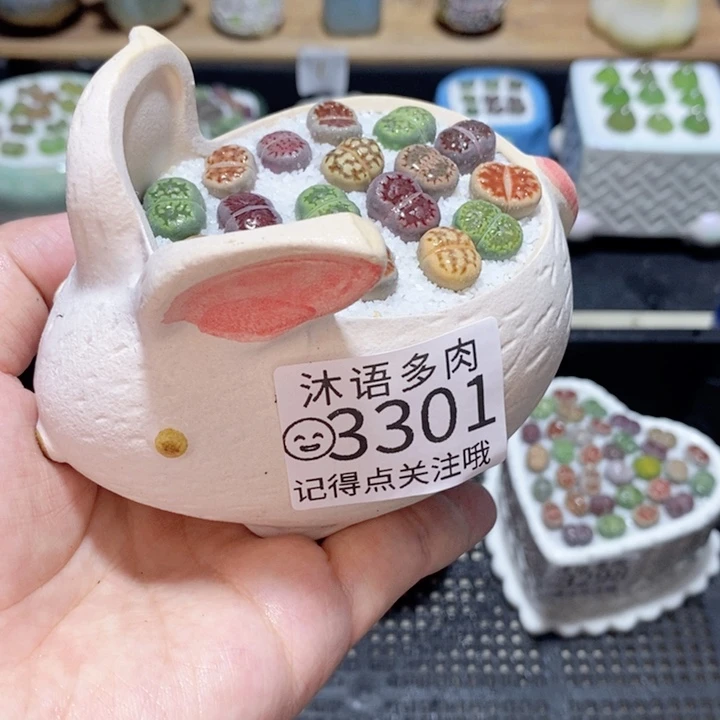 精美盆栽 一物一拍3301