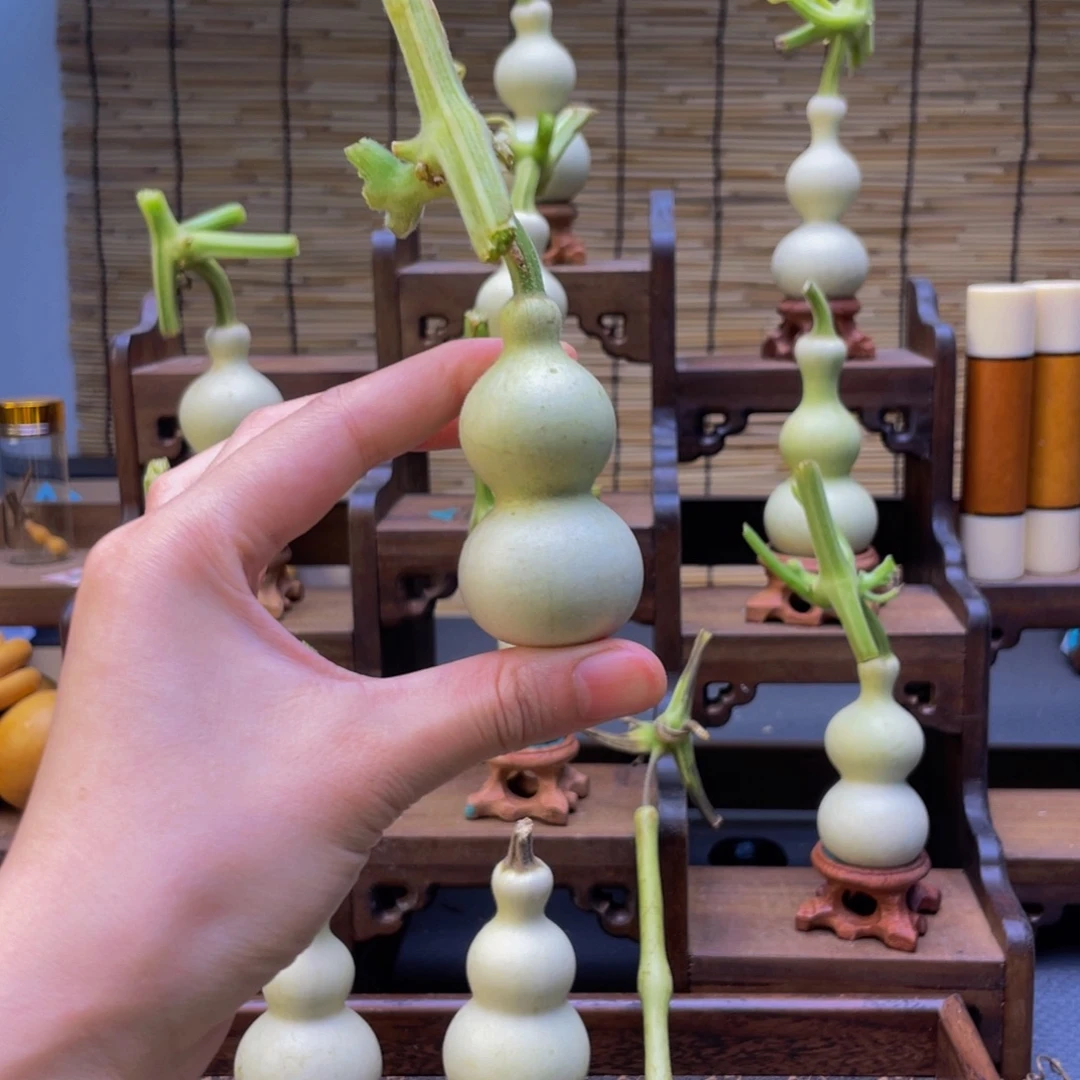 雨***人大叶紫檀（黑酸枝木类）