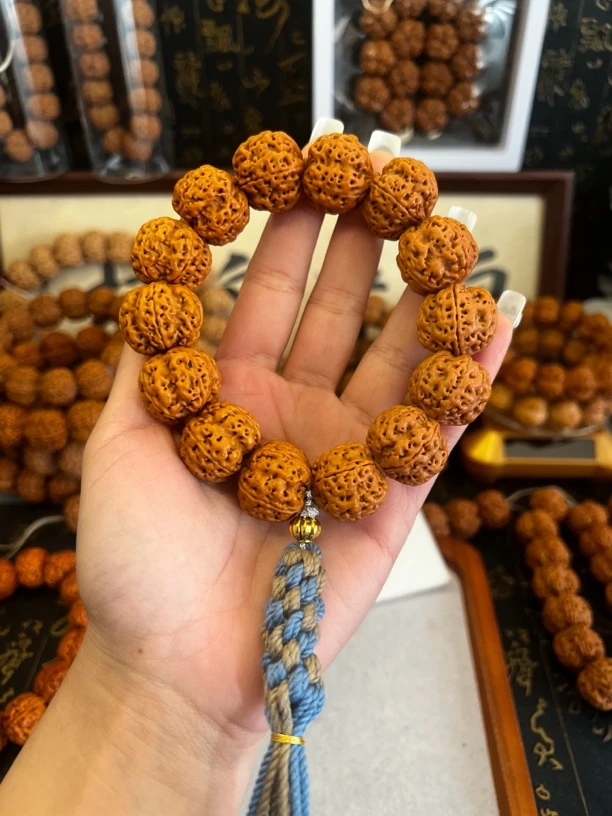 新品安娜梅花，尼泊尔大金刚。