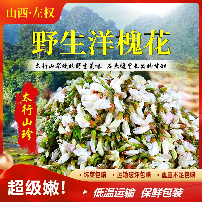 【顺丰包邮】新鲜洋槐花2025太行山野生槐花可食用当季蔬菜