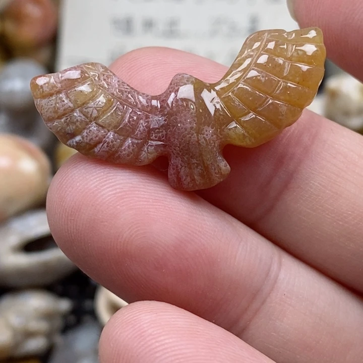 颈饰未镶嵌硅化珊瑚（珊瑚玉）没打孔 小