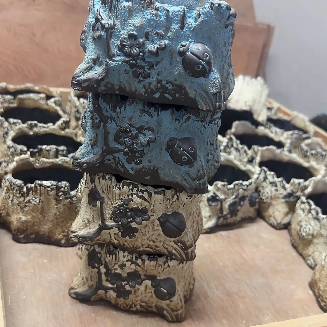 4个福利局绿植多肉盆［凑9元包邮24小时发］