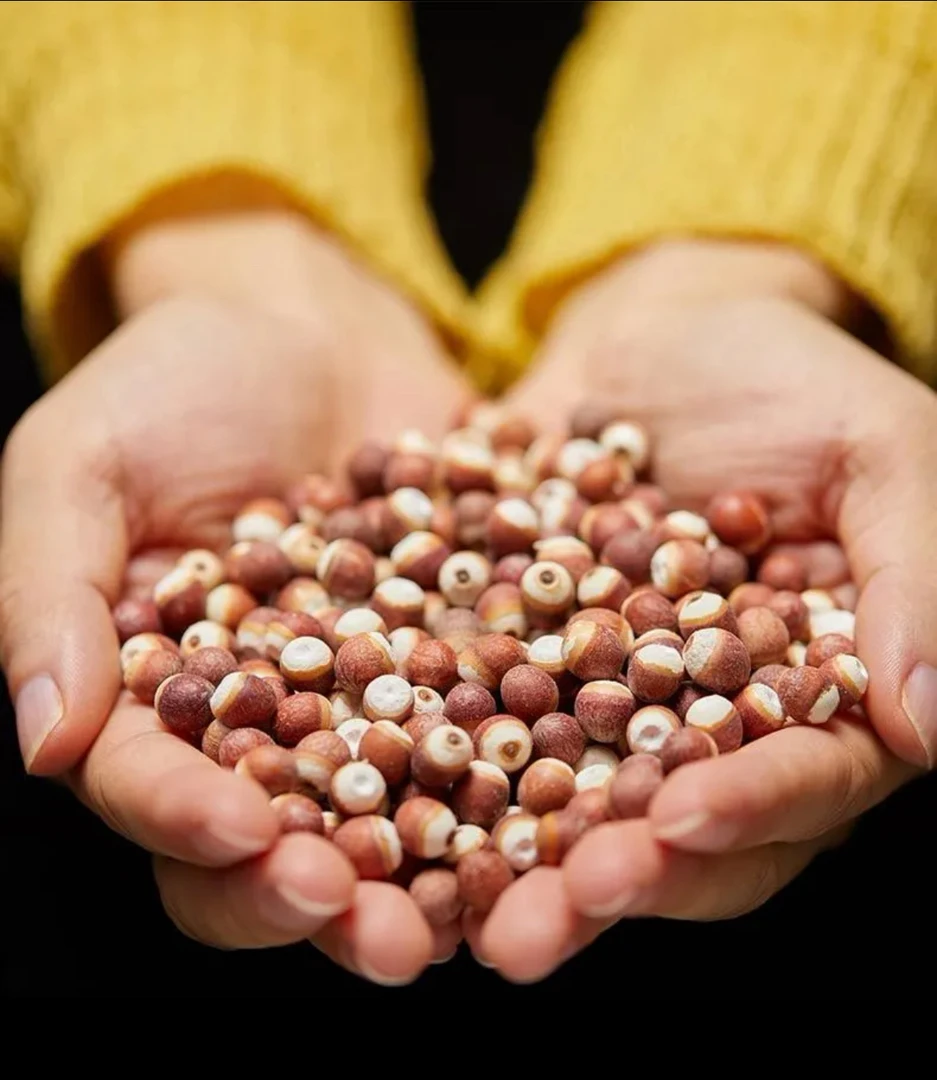 【小明正能量】整颗粒芡实鸡头米煲汤煮粥