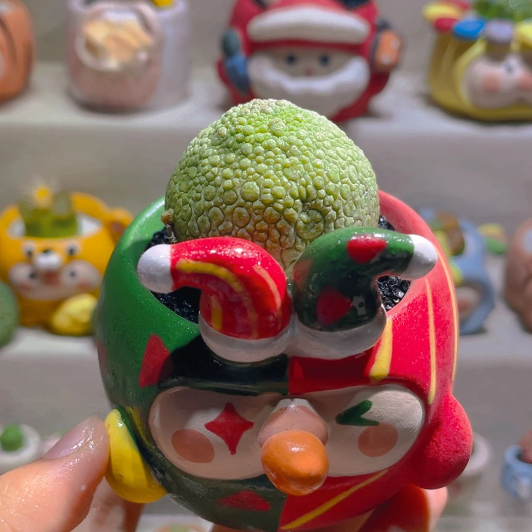 016灵蹄玉4.3厘米带盆土一套128