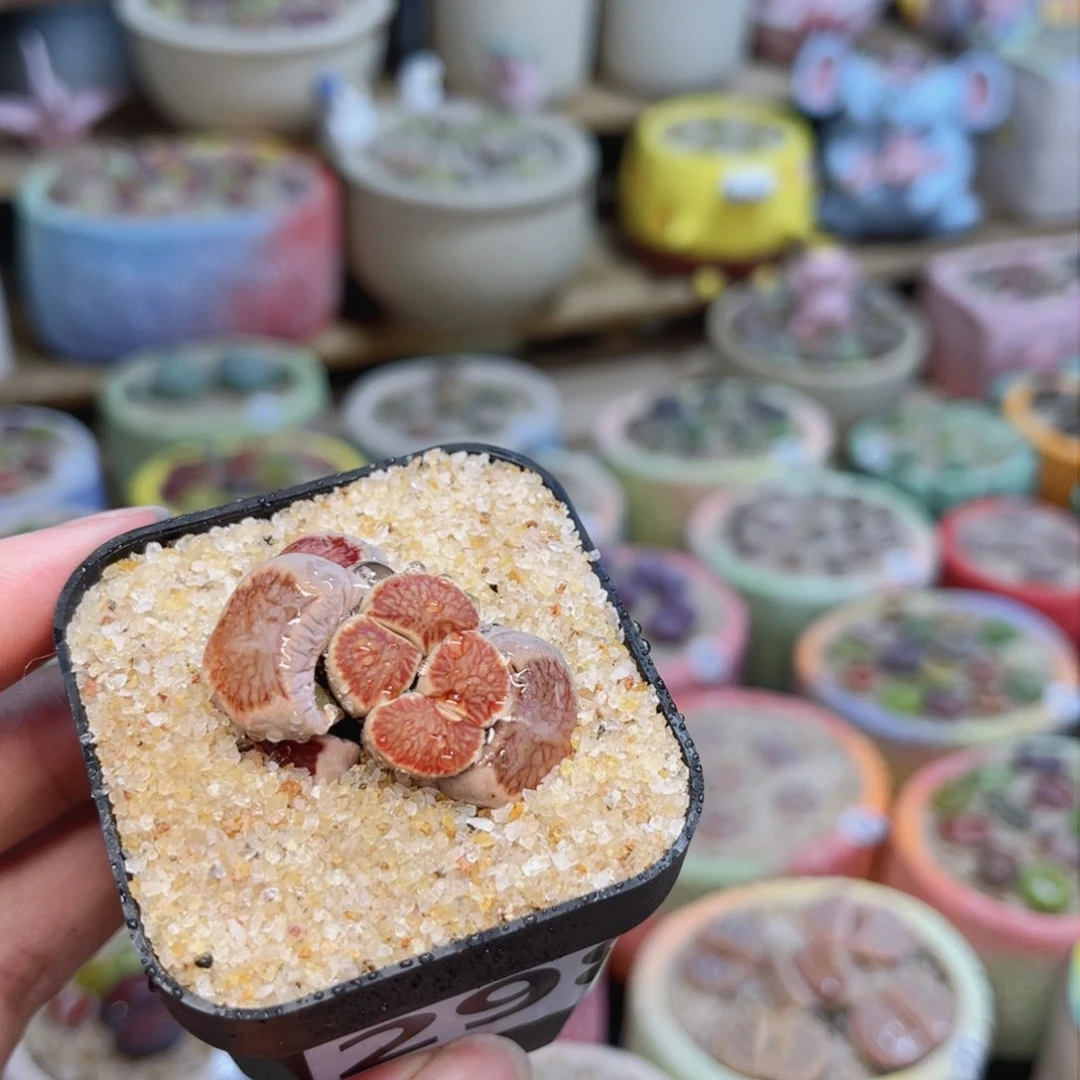 298。8899988888888888