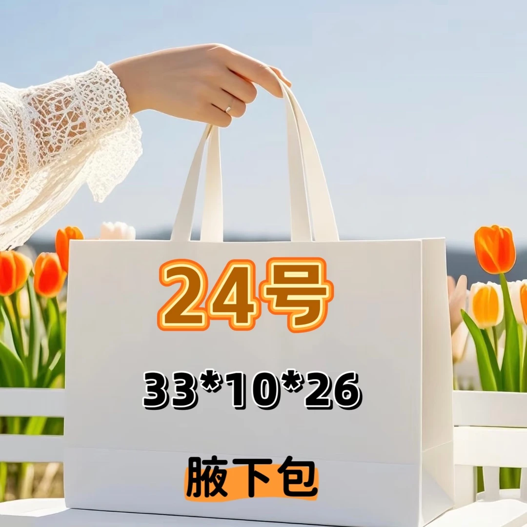 24号（S）潮流时尚新款轻奢单肩包