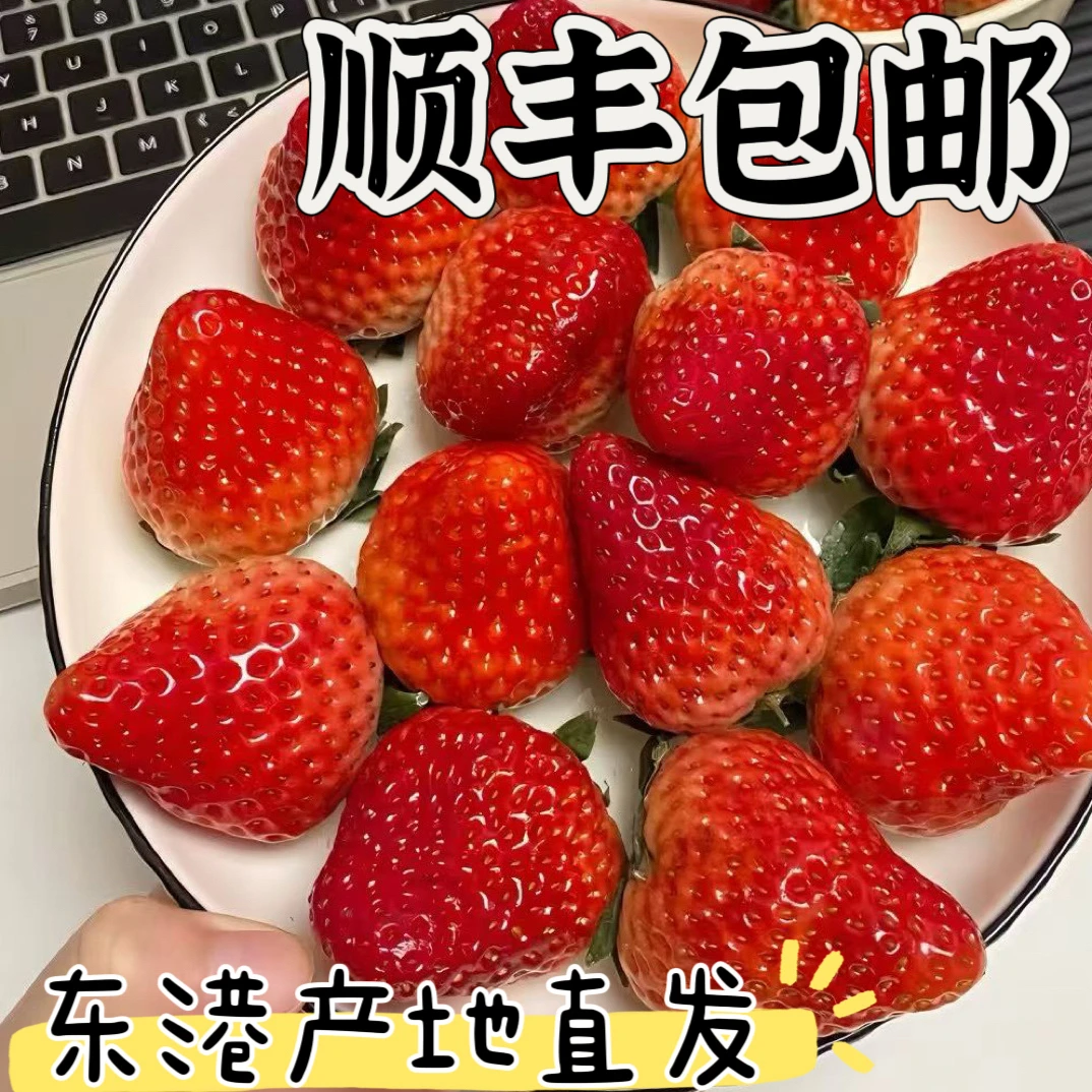 正宗丹东九九草莓香甜可口东港红颜草莓产地当日现摘新鲜顺丰包邮